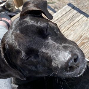 Meet your Posher, Brianna